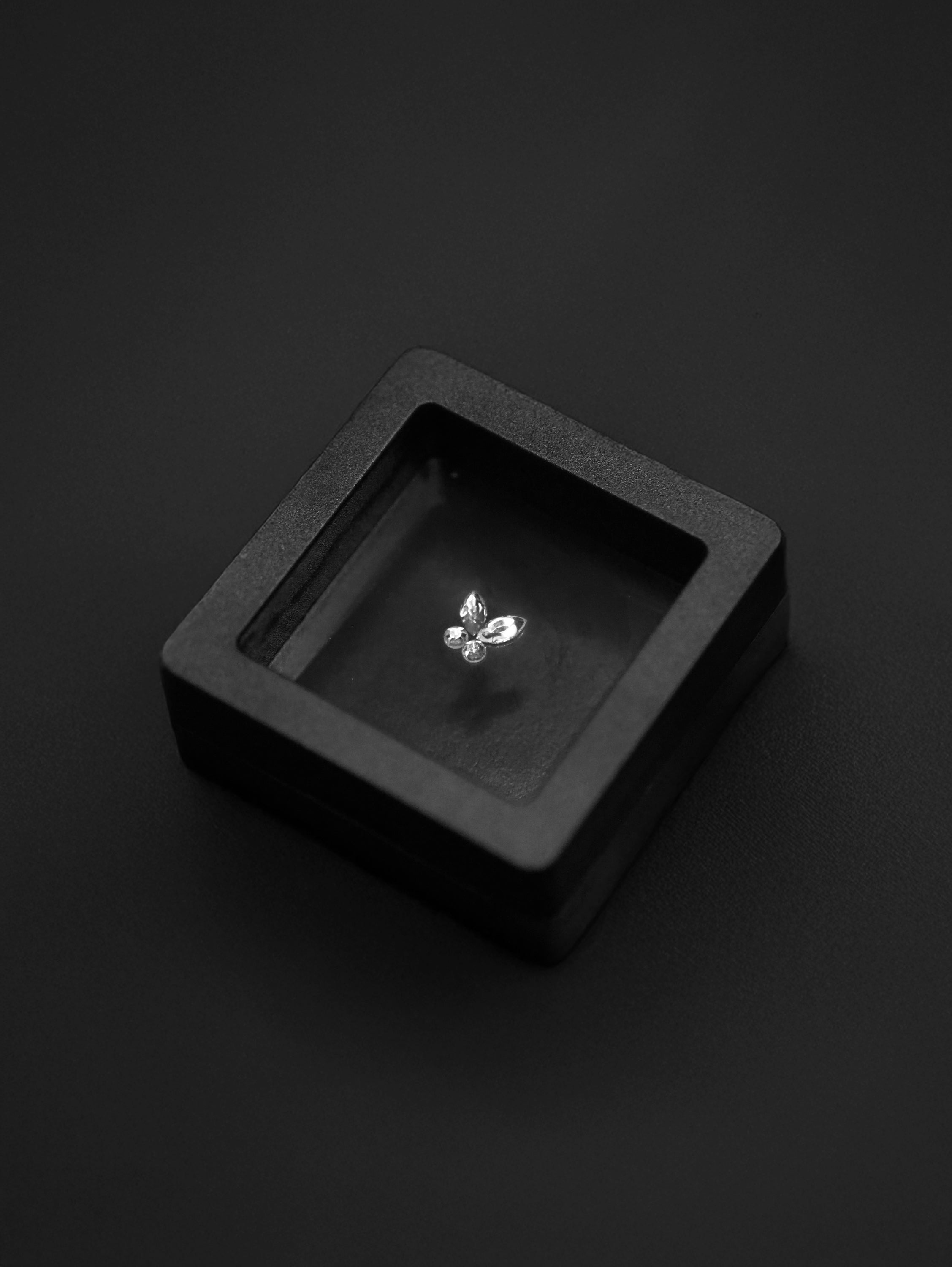 Butterfly Design Kit