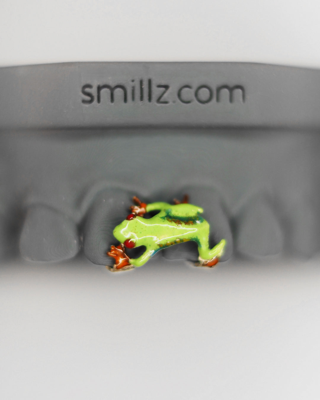 Smillz Signature Series - "Red Eye Tree Frog,,