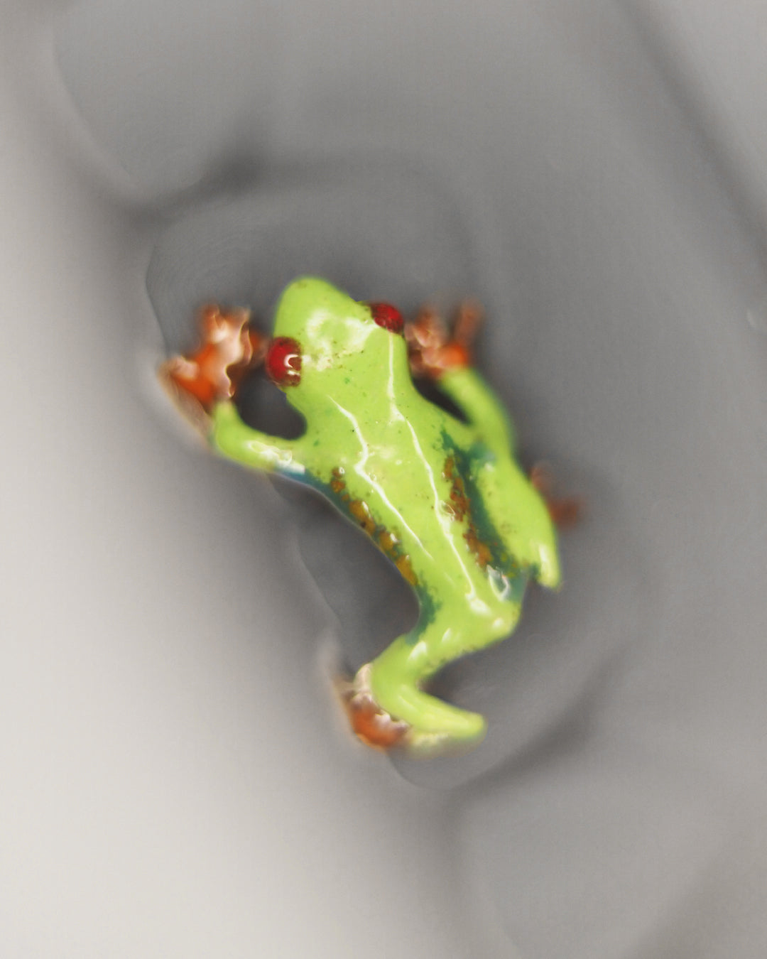 Smillz Signature Series - "Red Eye Tree Frog,,