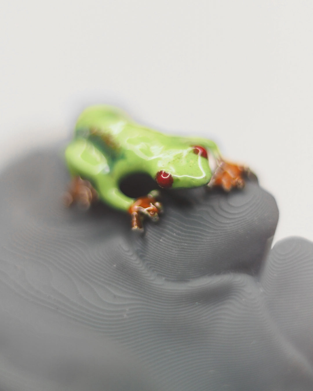 Smillz Signature Series - "Red Eye Tree Frog,,