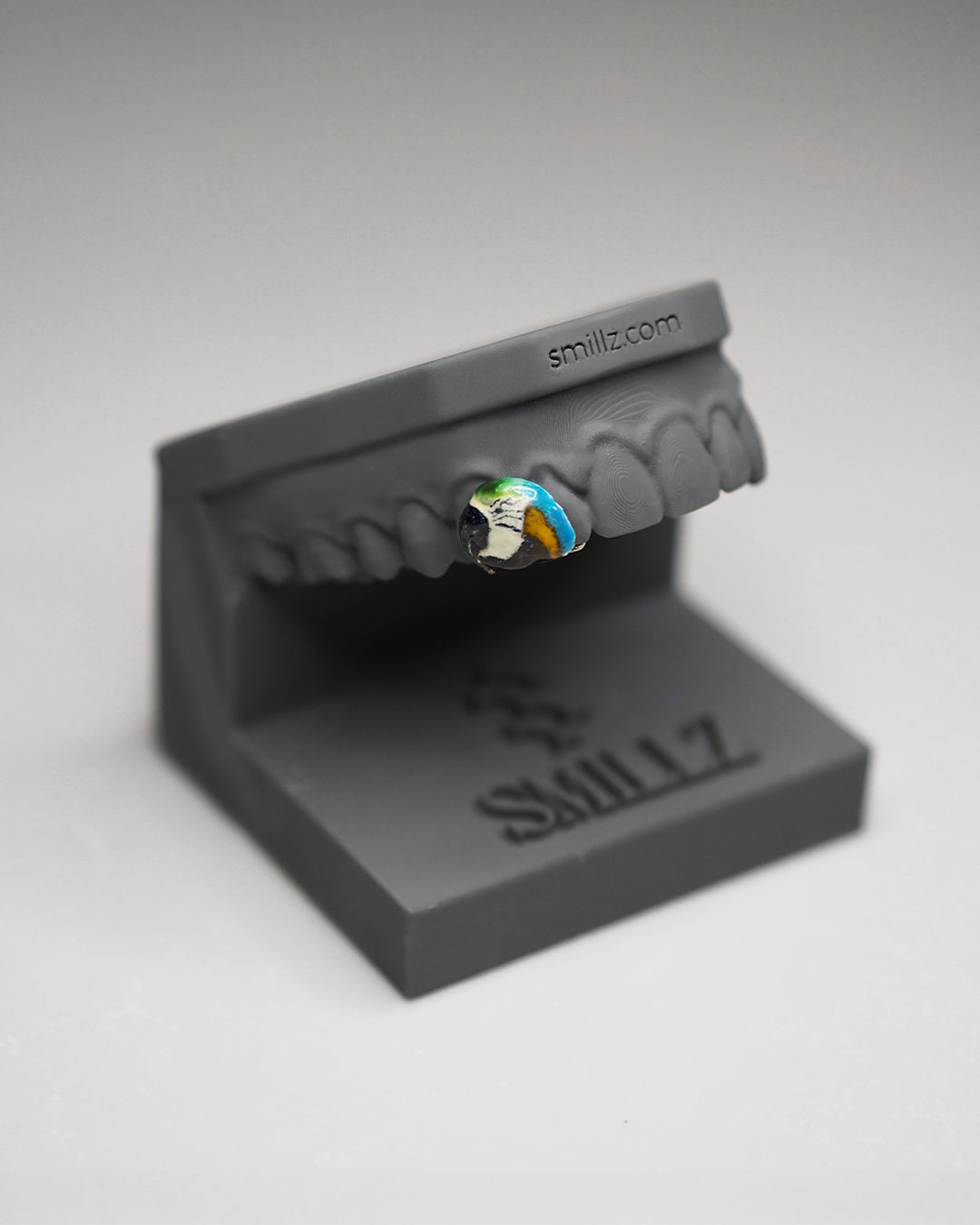 Smillz Signature Series - "Macaw Parrot,,