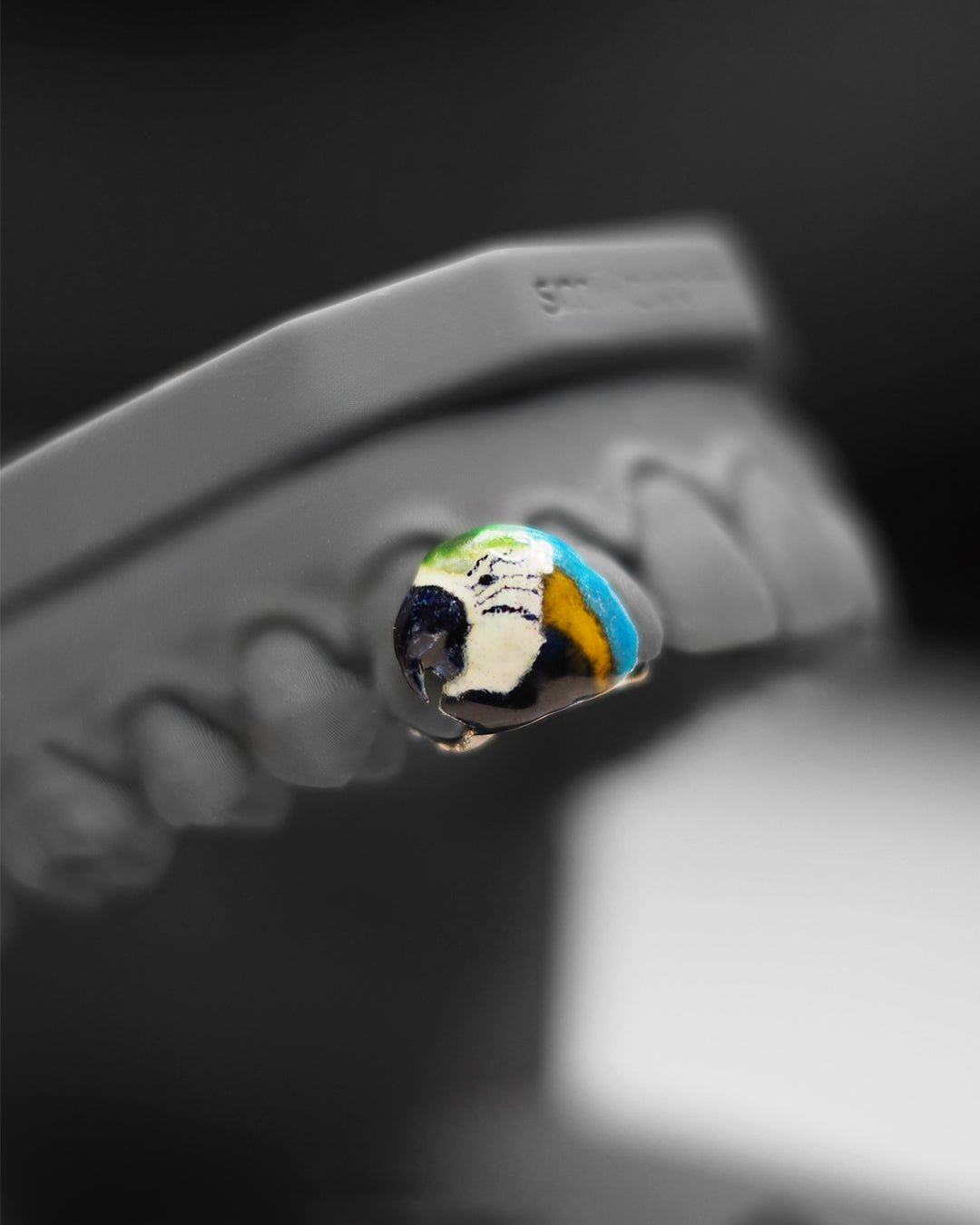 Smillz Signature Series - "Macaw Parrot,,
